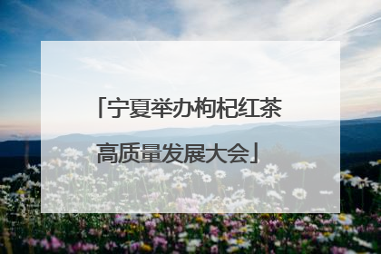 宁夏举办枸杞红茶高质量发展大会